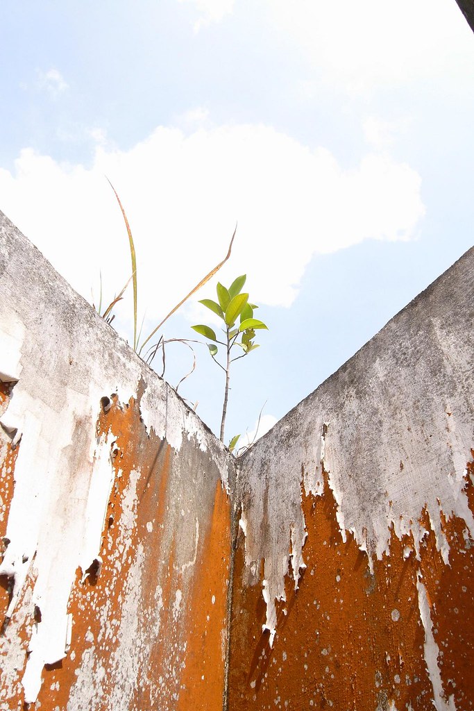 Digital Safety #41: Protect Your Passwords Like Cash